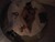 Img00409-20110116-1543[1]_tiny